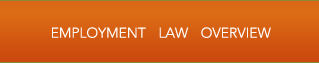 employment law overview